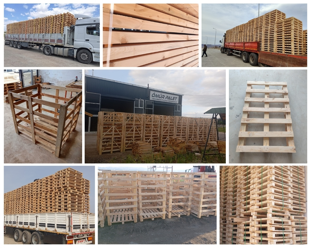 Child Okeford Wooden Pallets, Buy Wooden Pallets Wholesale